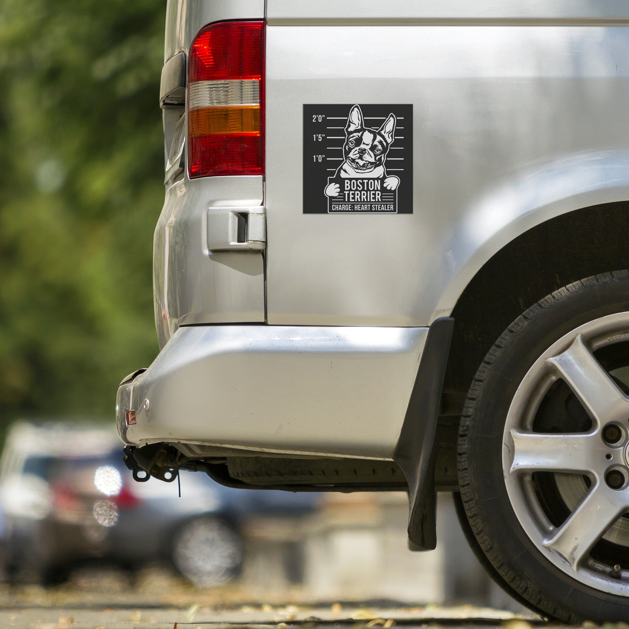Boston Terrier Heart Stealer Magnet