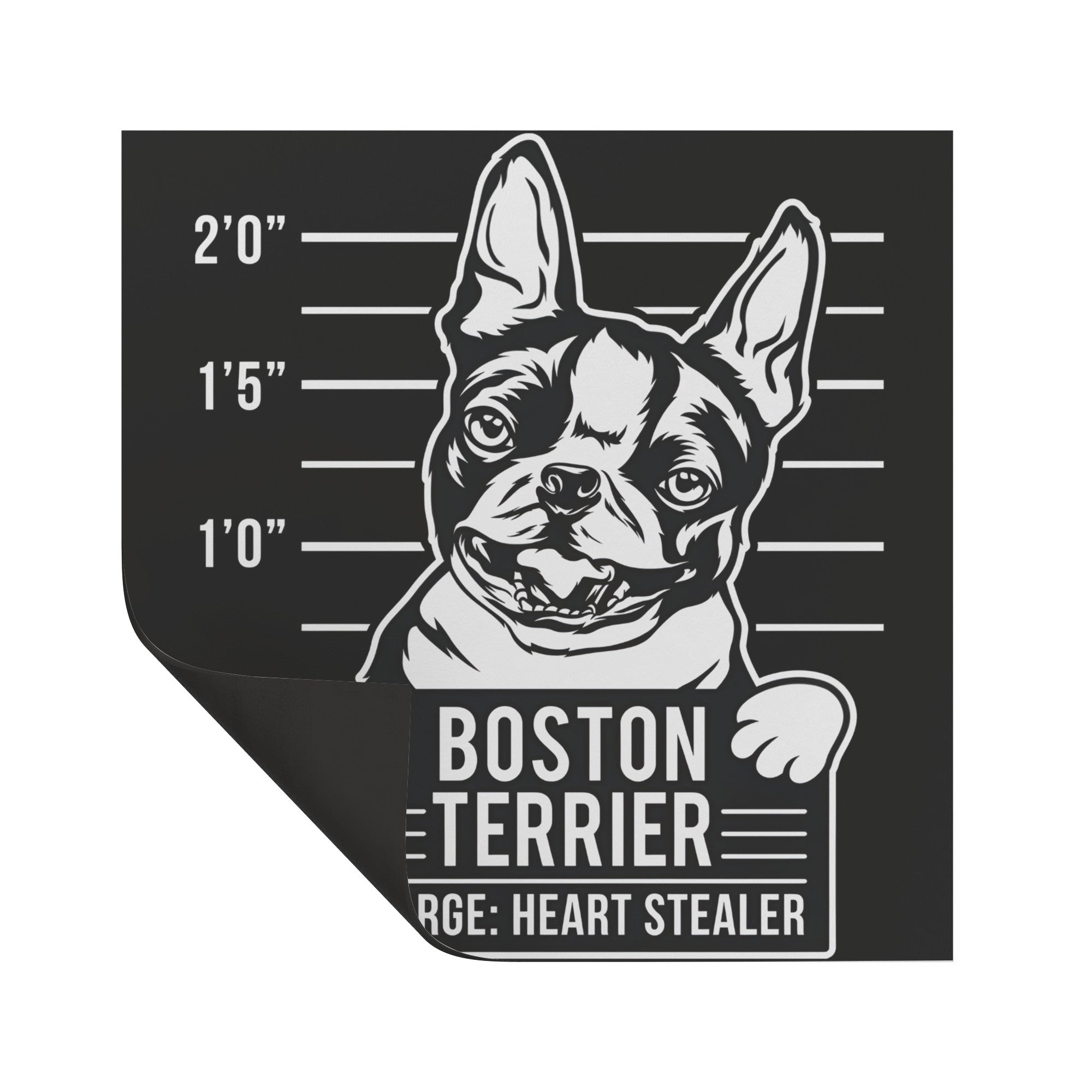 Boston Terrier Heart Stealer Magnet