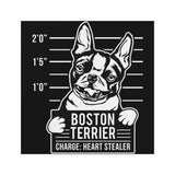 Boston Terrier Heart Stealer Magnet