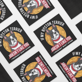 If My Boston Terrier Doesn't Like You I Probably Won't Either Magnet