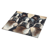 Three Boston Terriers Magnet