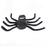Spider Dog Costume
