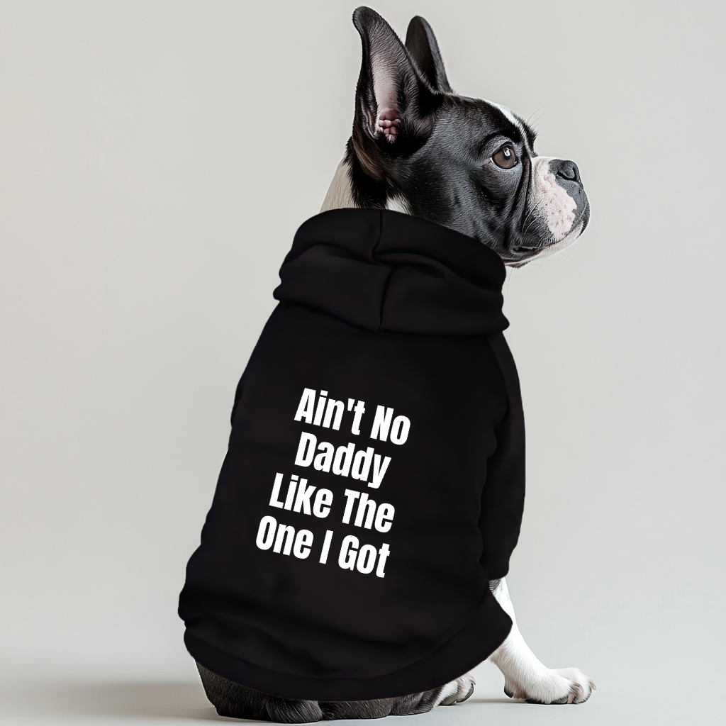 Aint No Daddy Like The One I Got 100% Cotton Dog Fleece Hoodie