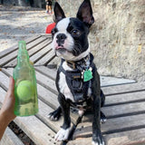Squeaky Bottle Ball Toy for Dogs