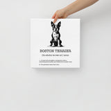 Boston Terrier Definition Canvas