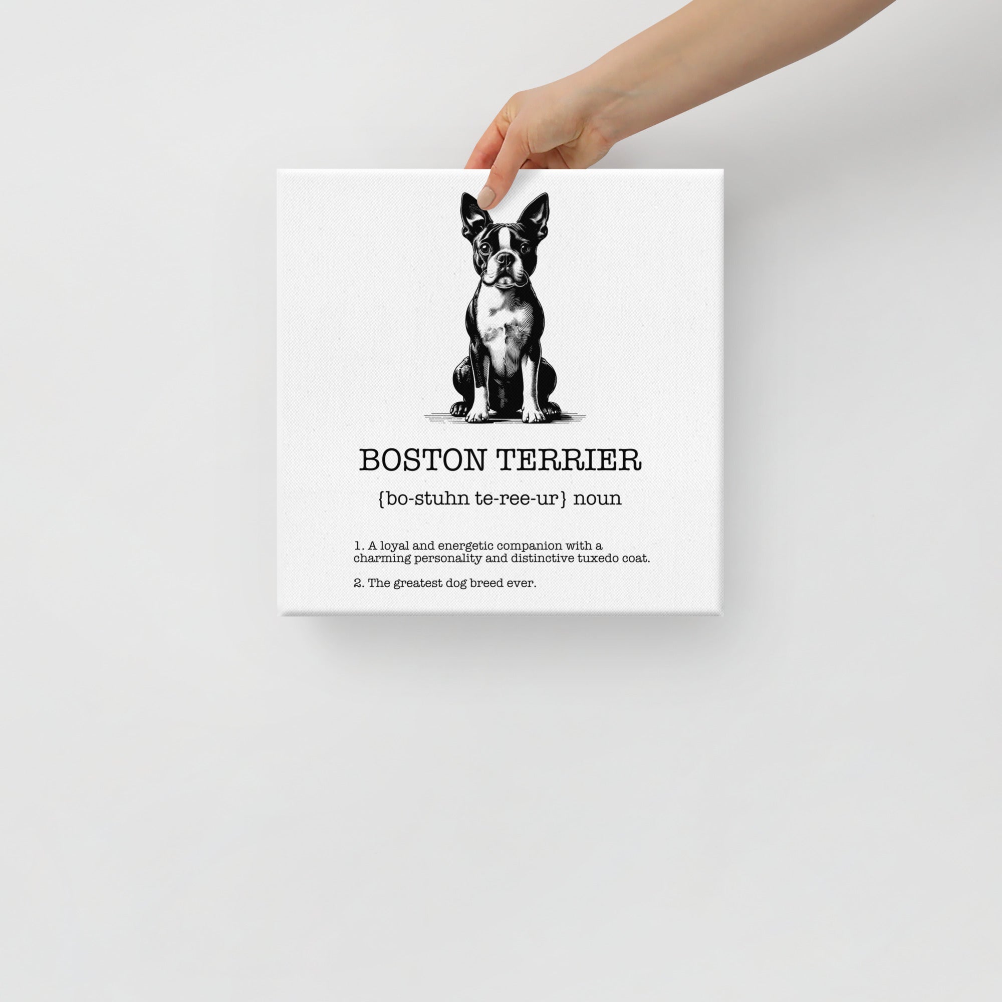 Boston Terrier Definition Canvas
