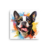 Colorful Playful Boston Terrier Dog Splash Art Canvas