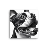 Overjoyed Boston Terrier Dog Canvas