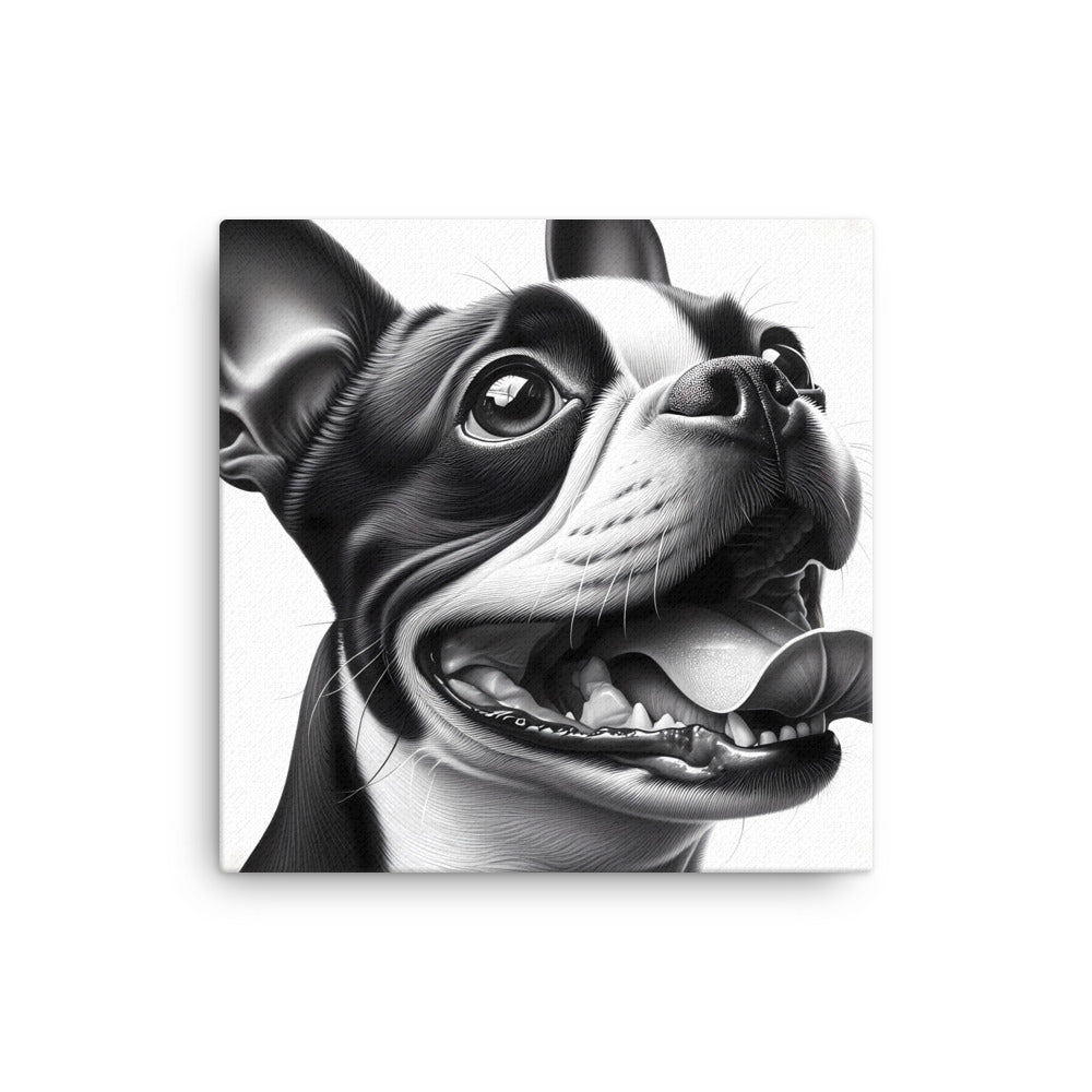Overjoyed Boston Terrier Dog Canvas