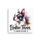 Boston Terrier Love Club - Elegant Watercolor Boston Terrier Art Canvas