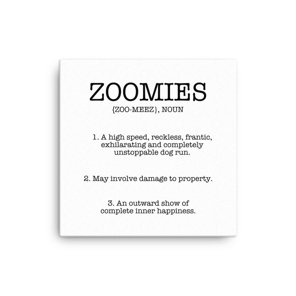 Zoomies Definition Canvas