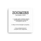Zoomies Definition Canvas