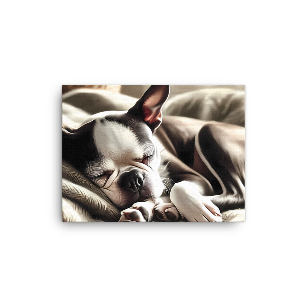 Senior Boston Terrier Sleeping Peacefully Canvas