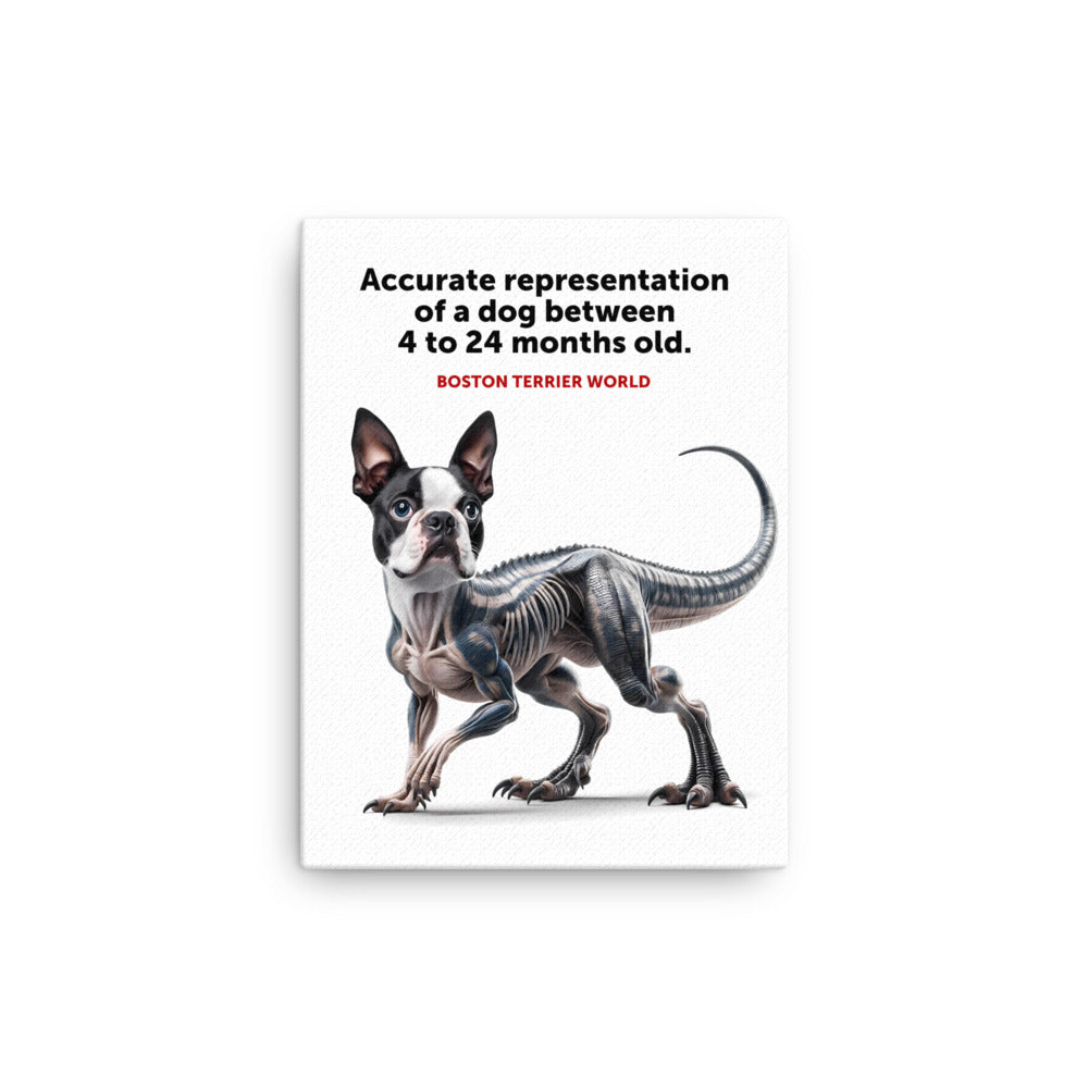 Accurate Representation of a Dog (Boston Terrier) between 4 to 24 Months old Canvas