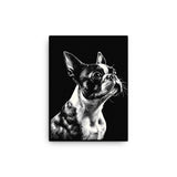 Boston Terrier Line Art Canvas