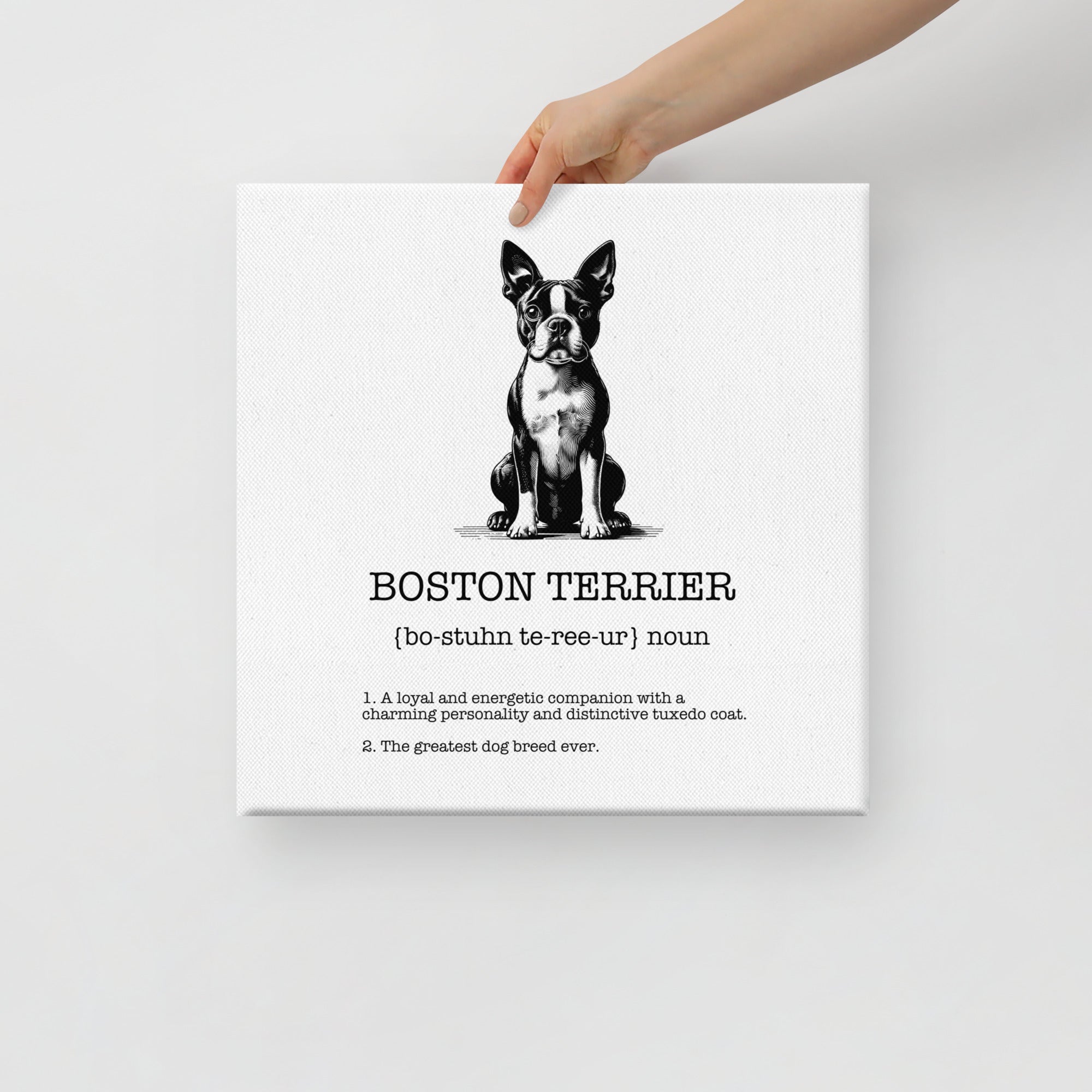Boston Terrier Definition Canvas