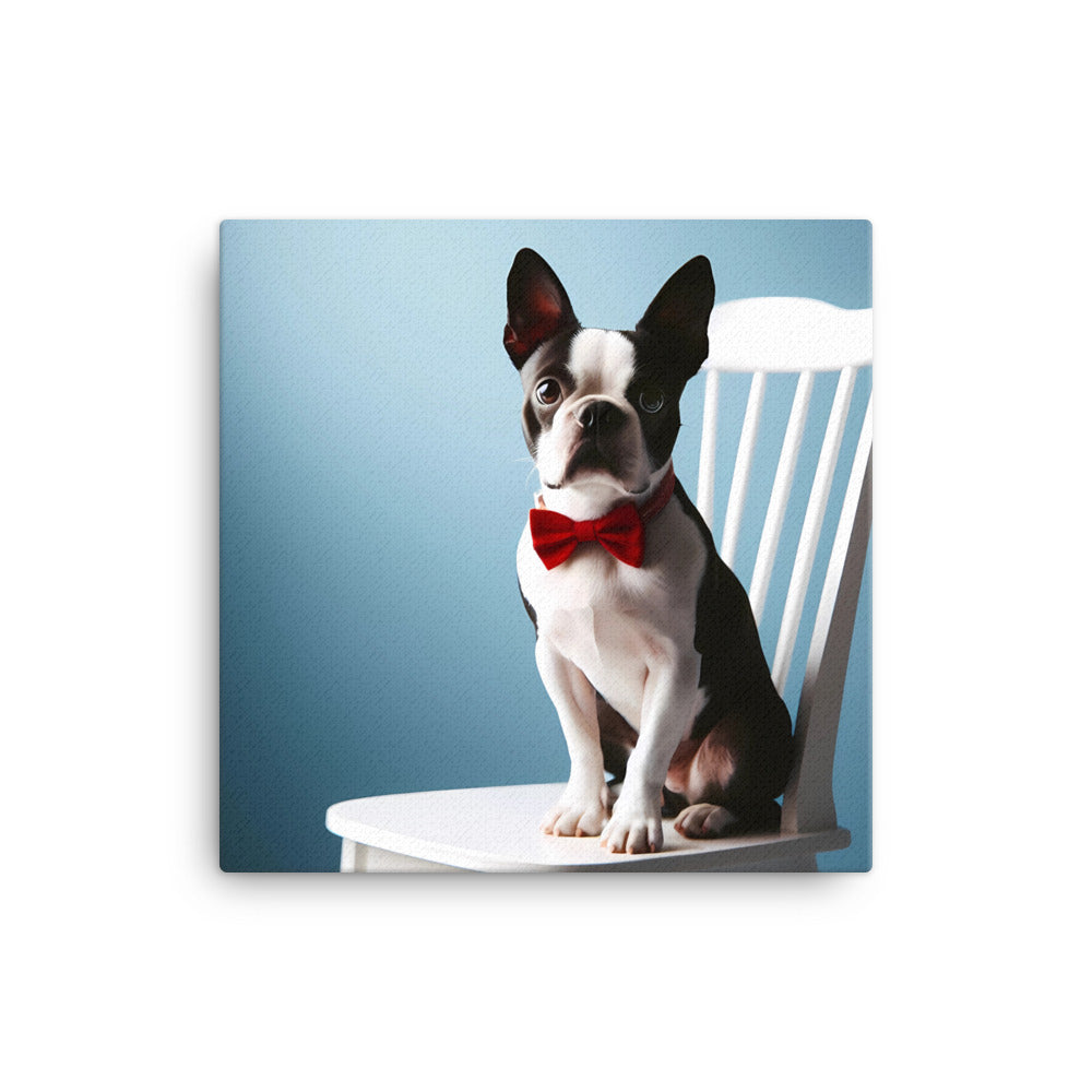 Dapper Boston Terrier in Red Bow Tie Seated on White Chair Canvas