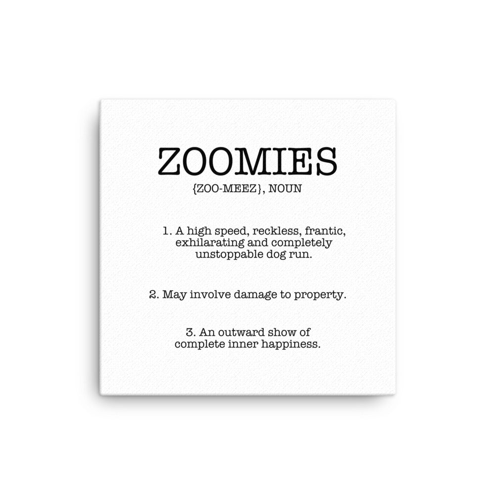 Zoomies Definition Canvas
