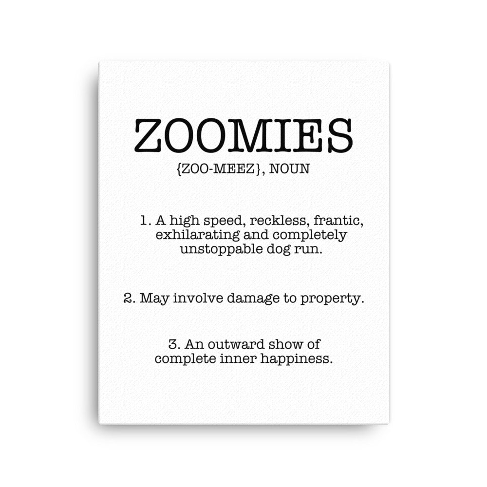 Zoomies Definition Canvas