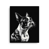 Boston Terrier Line Art Canvas