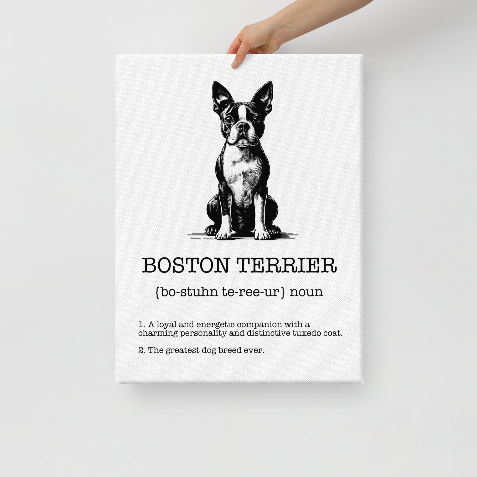 Boston Terrier Definition Canvas