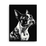 Boston Terrier Line Art Canvas
