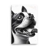 Overjoyed Boston Terrier Dog Canvas