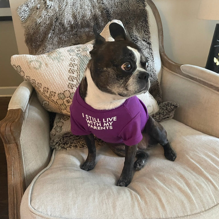 I Still Live With My Parents Dog T-Shirt