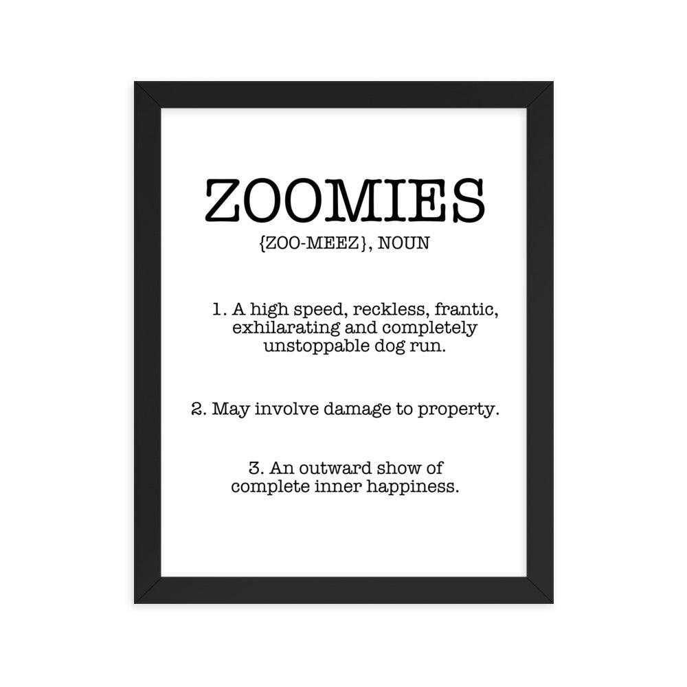 Zoomies Definition Framed Poster