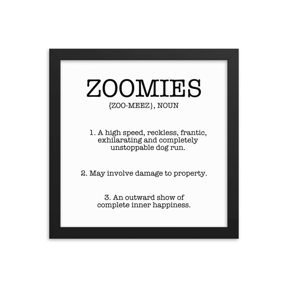 Zoomies Definition Framed Poster