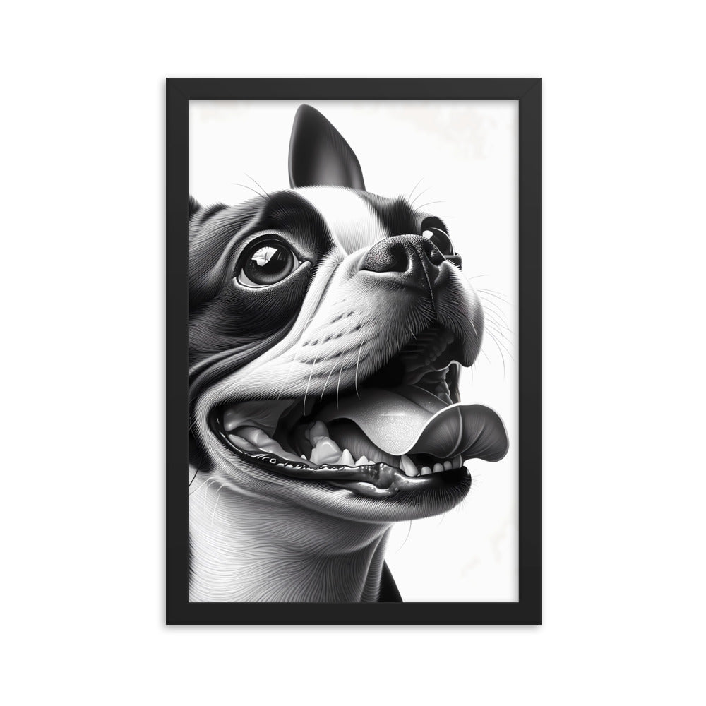 Overjoyed Boston Terrier Dog Framed Poster