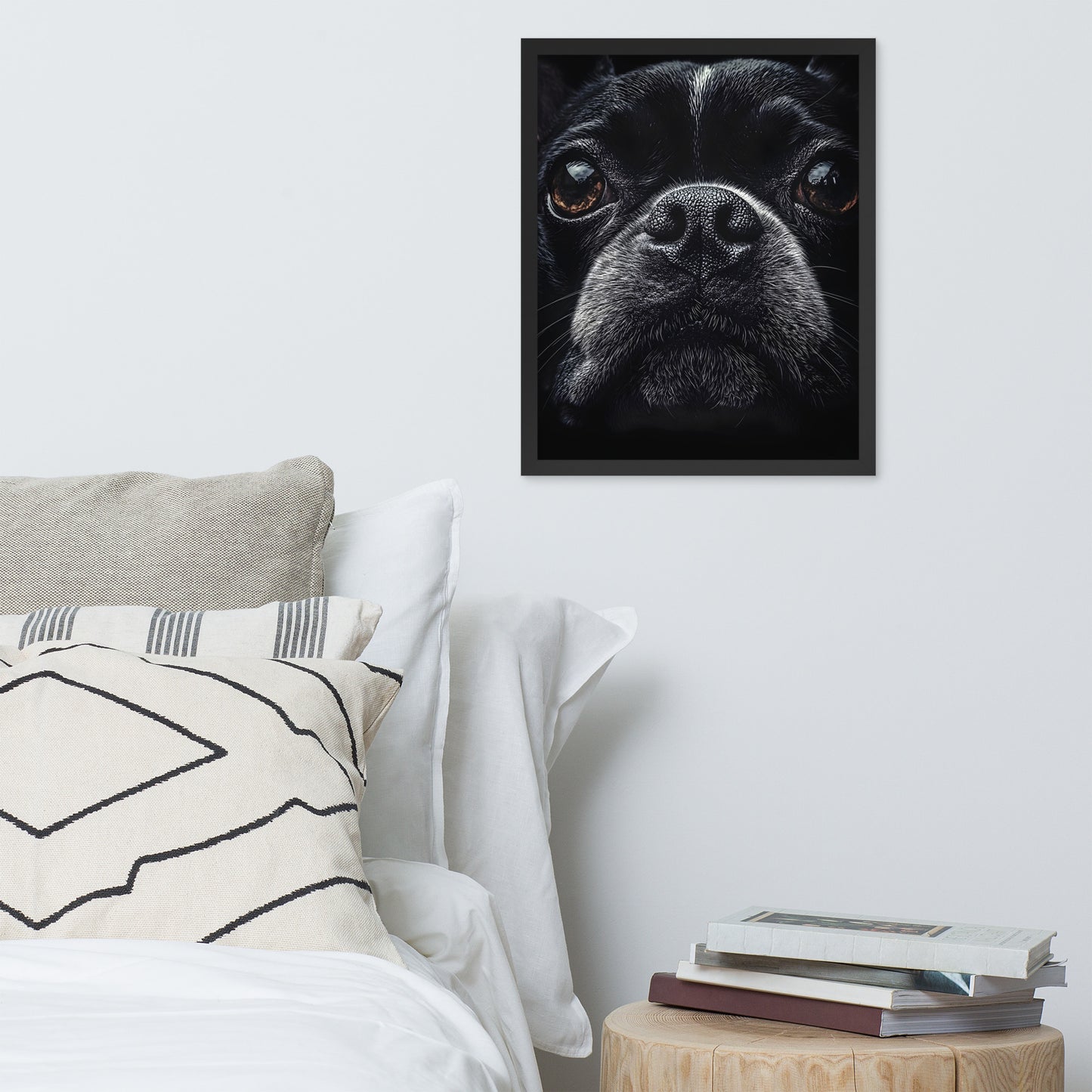 Boston Terrier Dog Face Closeup Framed Poster
