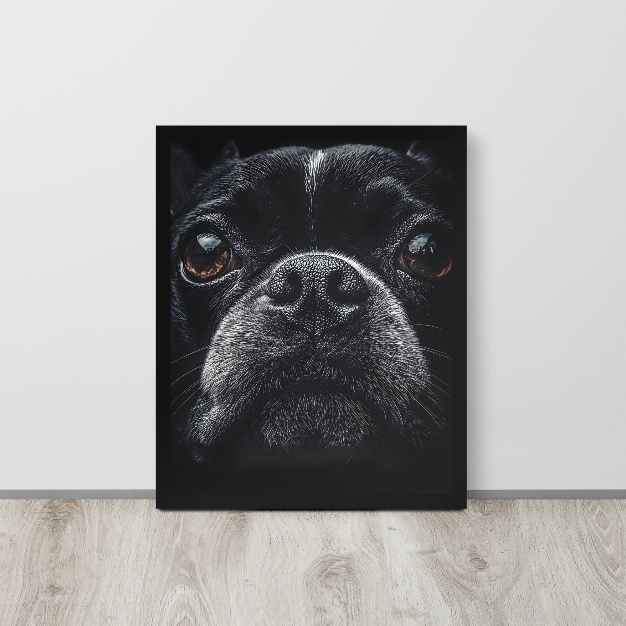 Boston Terrier Dog Face Closeup Framed Poster