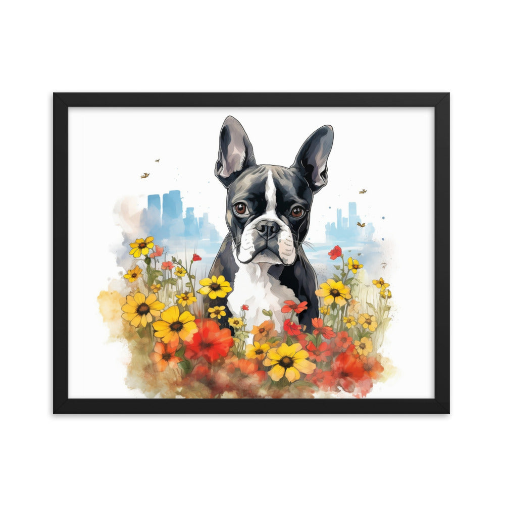Boston Terrier Dog In A Garden Outside The City Framed Poster