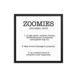 Zoomies Definition Framed Poster