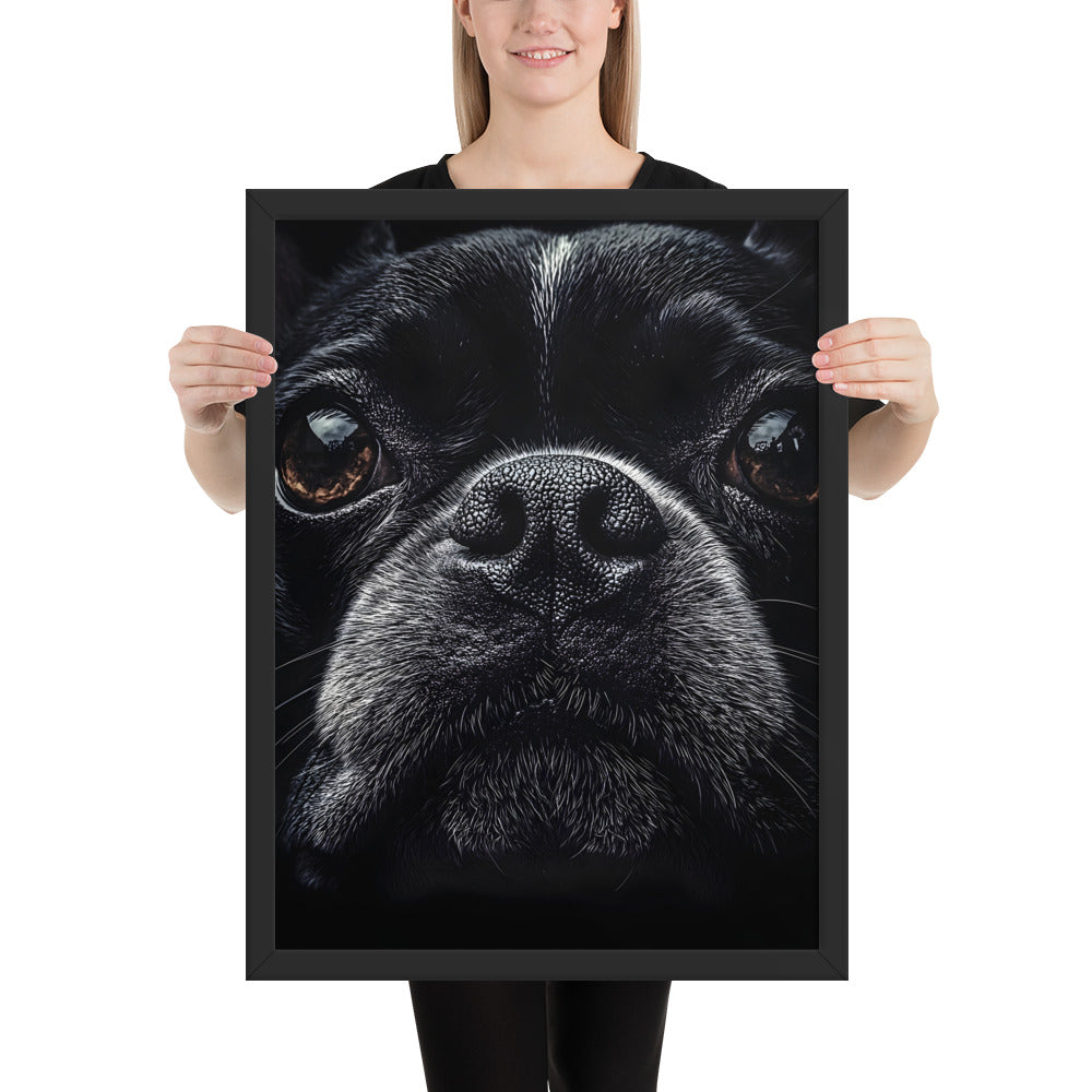 Boston Terrier Dog Face Closeup Framed Poster