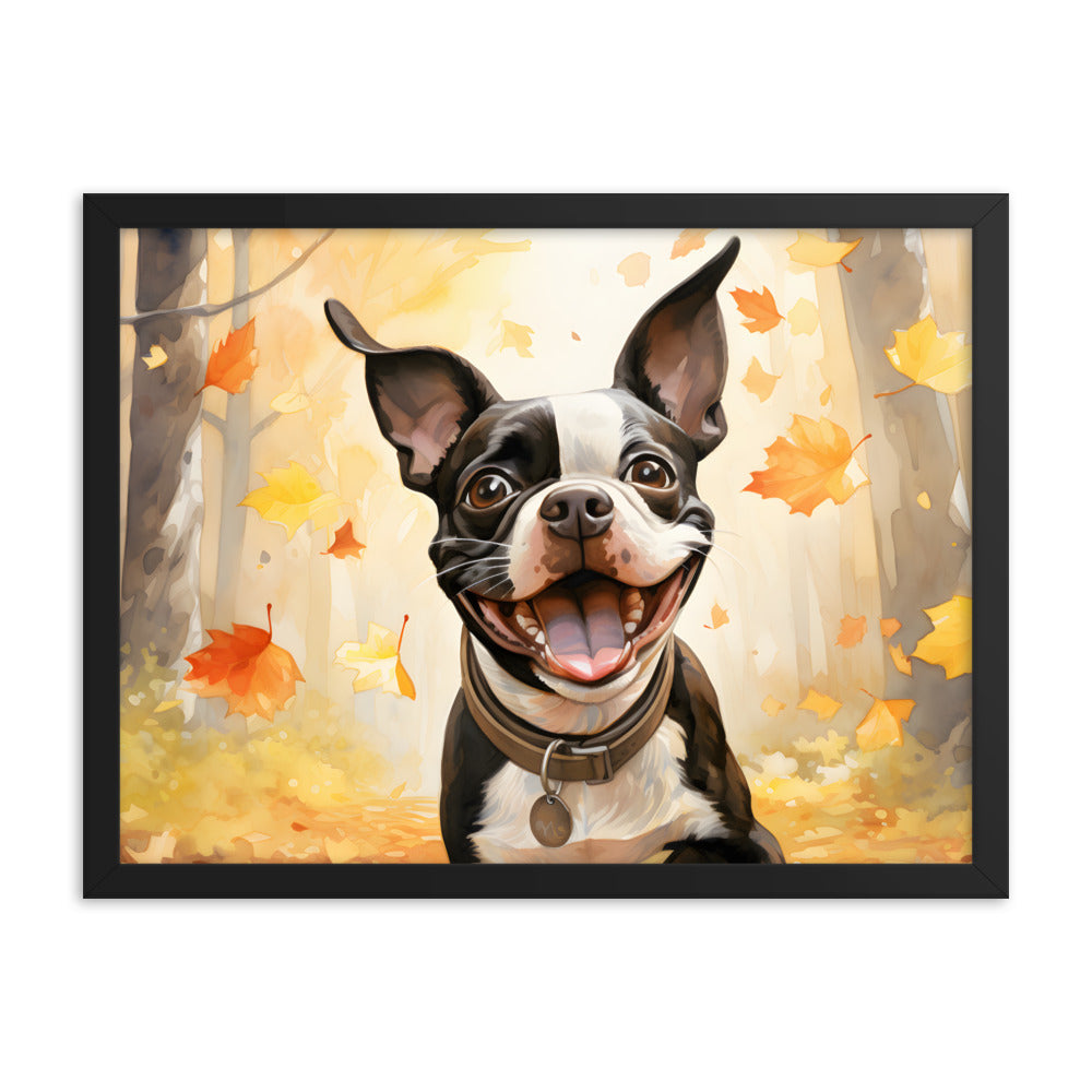 Cheerful Boston Terrier Dog Exploring A Park Watercolor Framed poster