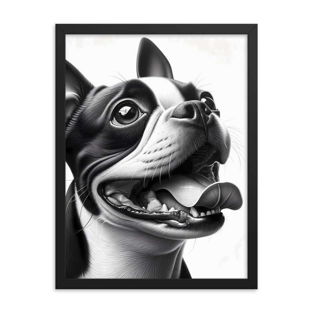 Overjoyed Boston Terrier Dog Framed Poster