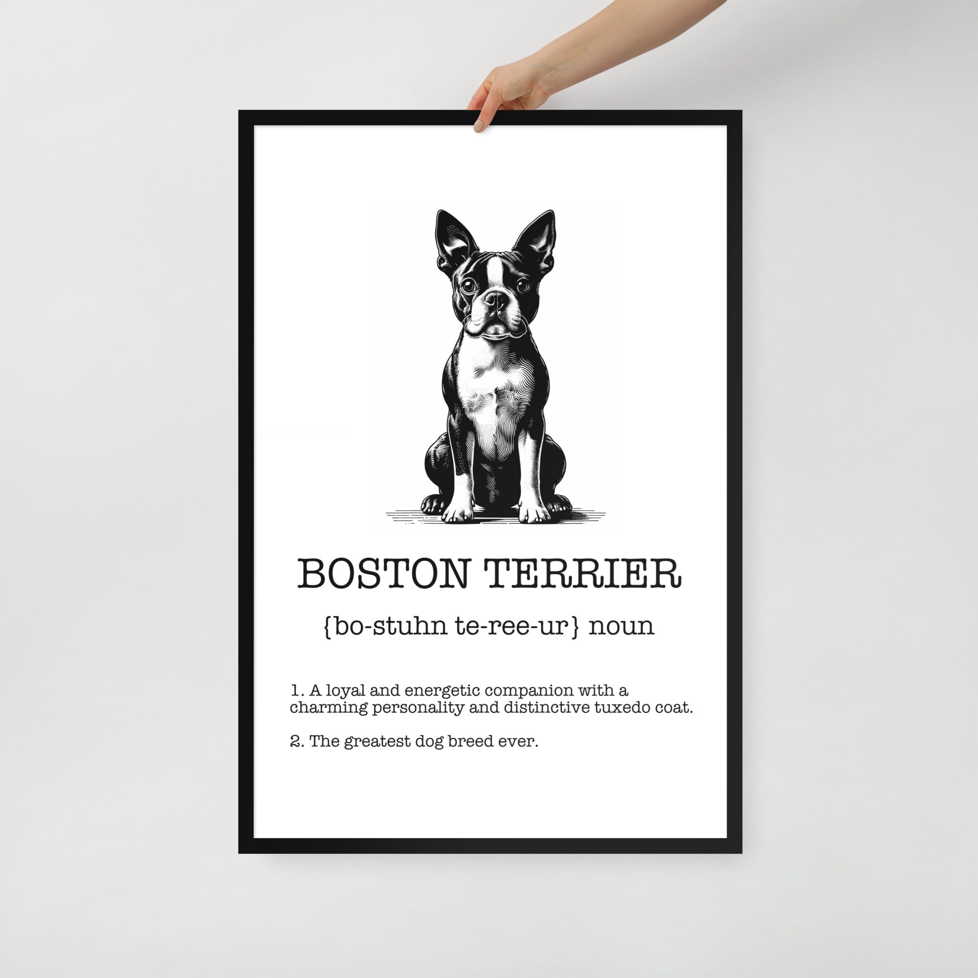 Boston Terrier Definition Framed Poster