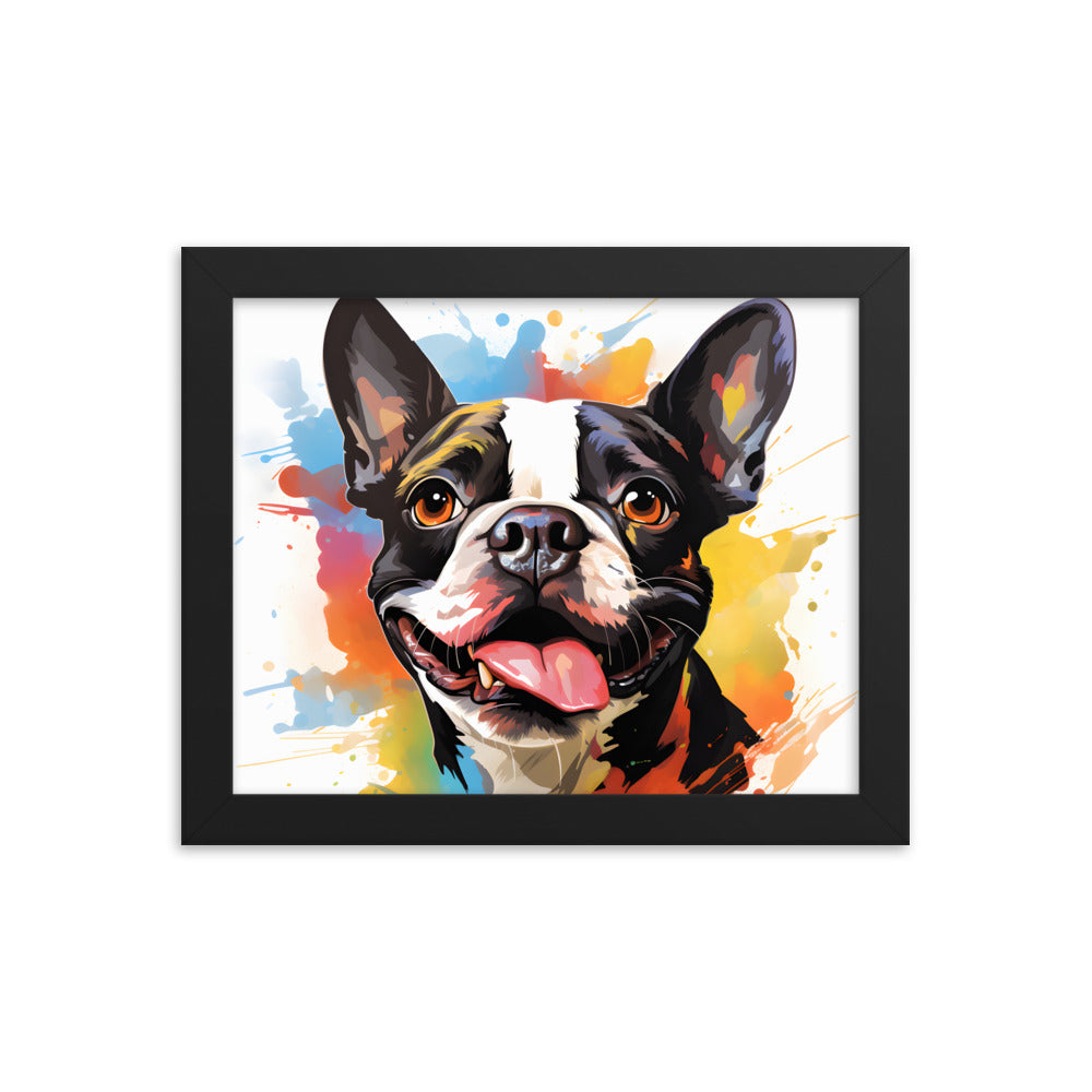 Colorful Playful Boston Terrier Dog Splash Art Framed Poster