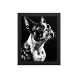 Boston Terrier Line Art Framed Poster