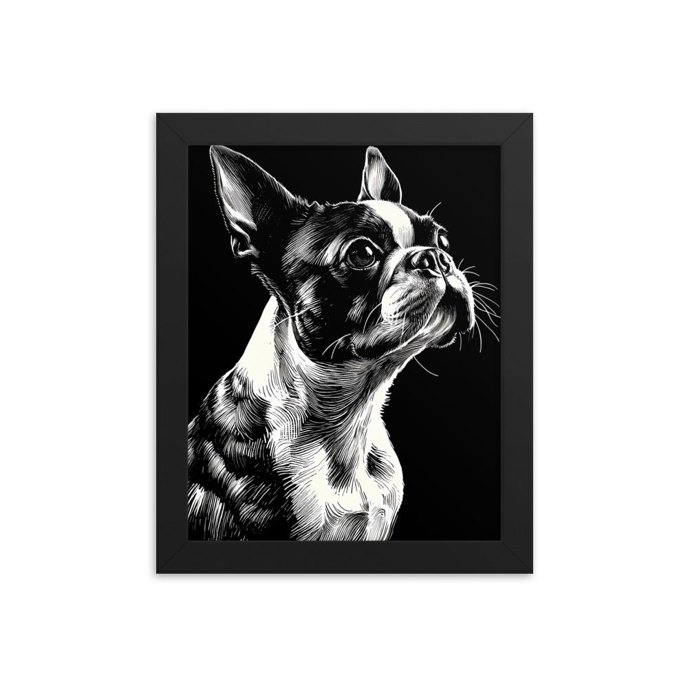 Boston Terrier Line Art Framed Poster