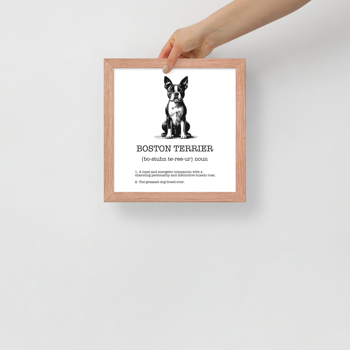 Boston Terrier Definition Framed Poster