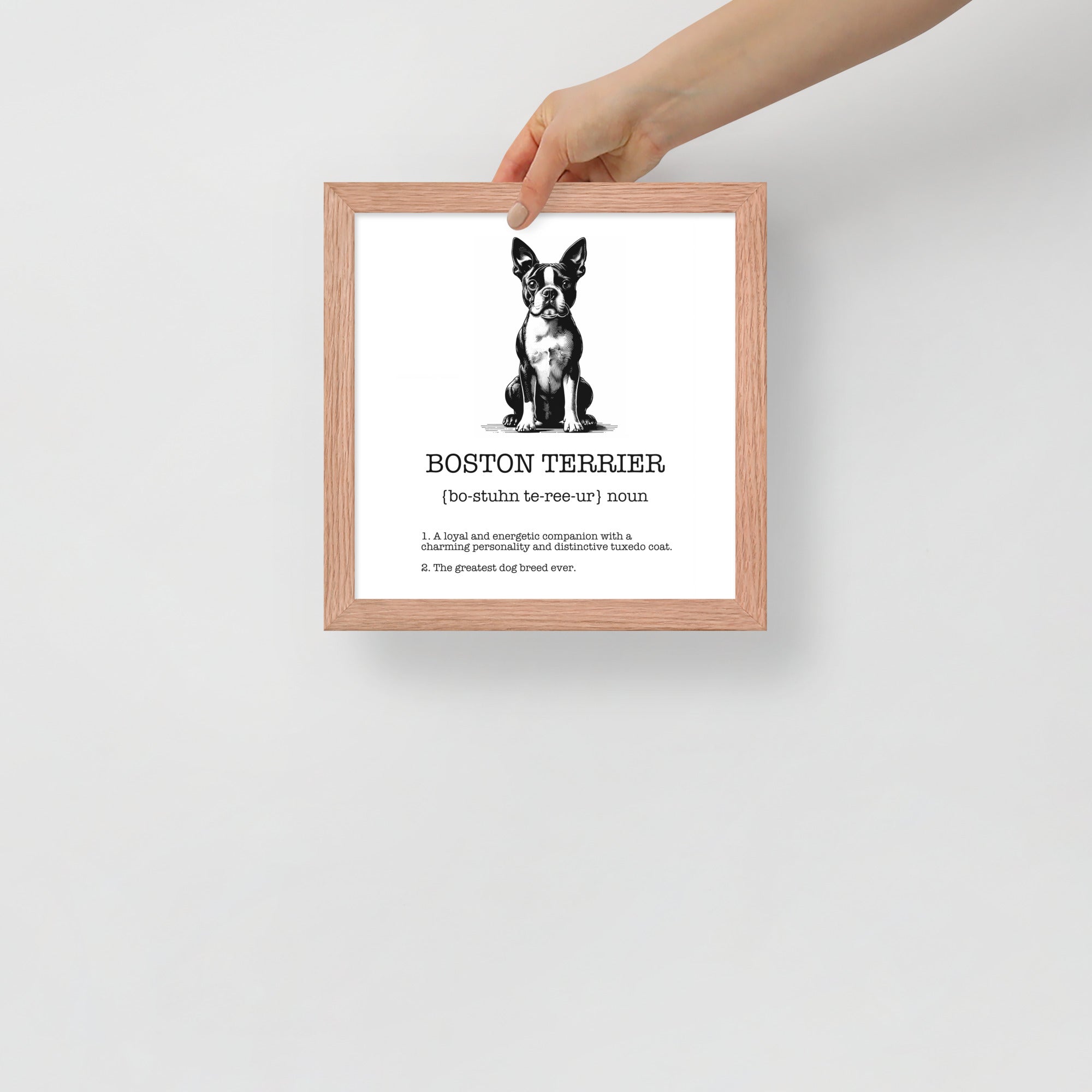 Boston Terrier Definition Framed Poster