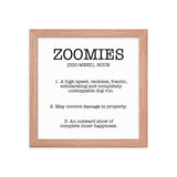 Zoomies Definition Framed Poster
