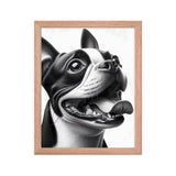 Overjoyed Boston Terrier Dog Framed Poster