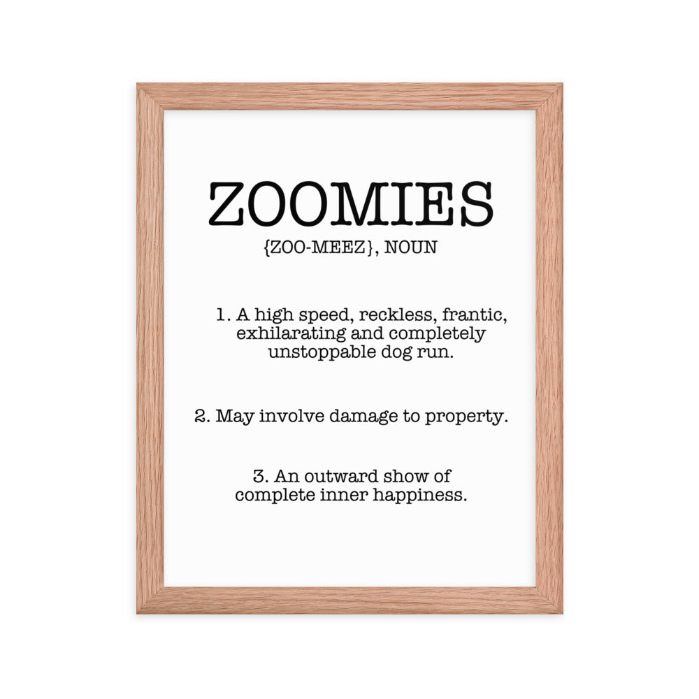 Zoomies Definition Framed Poster