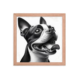 Overjoyed Boston Terrier Dog Framed Poster