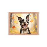 Cheerful Boston Terrier Dog Exploring A Park Watercolor Framed poster