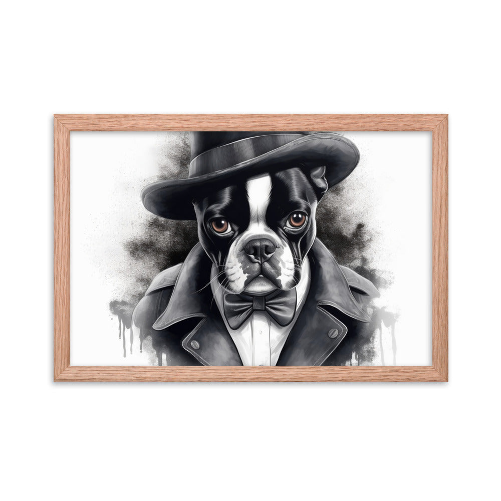 Boston Terrier Gentleman on Framed Poster